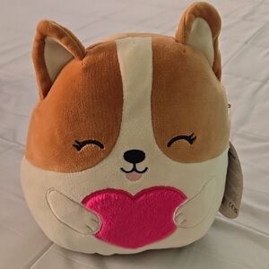 Regina the brown corgi